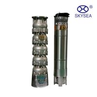 Pompe submersible en acier inoxydable QJ, taille personnalisée, pompe à eau pour puits profond, pour l'irrigation agricole, directement de l'usine