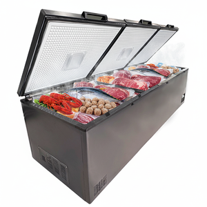 Congélateur coffre horizontal à ouverture par le haut pour homards et thons, idéal pour usage commercial et domestique - Product Image 3