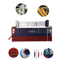 Anneau de boxe personnalisé, en toile, pour compétition d'entraînement MMA thaïlandaise, vente en gros,