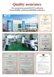 Poudre de boisson chocolatée Wins Town, halal, substitut de repas, milk-shake pour la perte de poids, milk-shakes au chocolat - Product Image 6