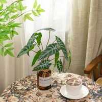 Bunga Alocasia Hitam Mini 12 Tangkai, Daun Tropis Buatan untuk Buket Pernikahan, Dinding Bunga Mawar & Dekorasi Rumah
