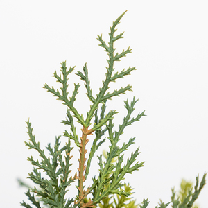 Co-Arts Handmade Table Decoration Colour Christmas <b>Tree</b> - Product Image 3