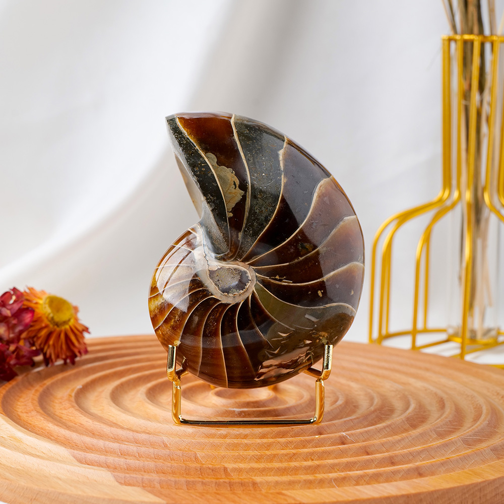 天然石アンモナイト海カタツムリ巻き貝鉱物標本家の装飾卸売