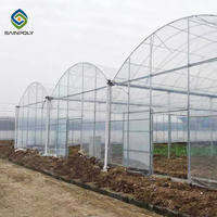 Serre verte en acier à travée multiple Cadre en métal Film plastique Graines de légumes Serre agricole pour tomates