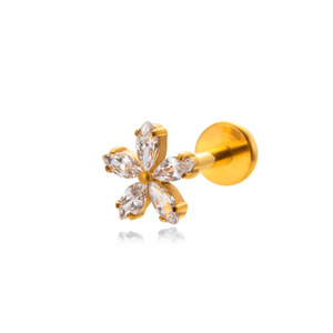 Nouveau style – Piercing de lèvre et d'oreille <span class=keywords><strong>en</strong></span> titane G23 incrusté de zircon, bijou de mode - Product Image 5
