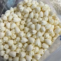 Korallenmuschel-Pulver Geprägte 8 * 11mm Milchweiße Magnolien-, Wildrosen- und Tulpenperlen für Armbänder und Haarspangen-Zubehör
