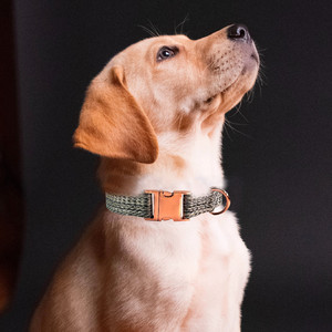 Collar <span class=keywords><strong>de</strong></span> Perro <span class=keywords><strong>de</strong></span> Tela Tejida <span class=keywords><strong>de</strong></span> Lujo con Hebilla <span class=keywords><strong>de</strong></span> Metal Dorado Rosa, Collar Ajustable <span class=keywords><strong>de</strong></span> Diseño para Perros Pequeños y Medianos - Product Image 4