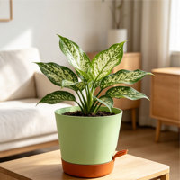 Pots de fleurs modernes intelligents à arrosage automatique, en plastique PP durable, avec trous de drainage, design minimaliste, capacité de 3,23 L