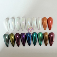 Blanc Chrome Shell Poudre Perle Sirène Pigment Solide Frottement Poussière Paillettes Poudre À Ongles