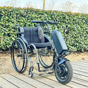 Moteur de vélo électrique portable pliable 48V à moyeu arrière sans balais détachable pour remorque et fauteuil roulant – Direct Fabricant - Product Image 2