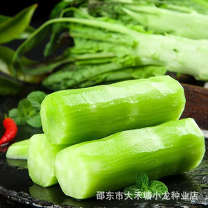 Semi di Lattuga Quattro Stagioni, a Buccia Verde e Polpa Verde, Profumati e ad Alta Resa, Forniture per Giardino - Product Image 1