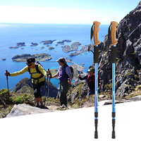 Bâtons de marche, bâtons de montagne, bâtons de trekking pliables ultralégers en aluminium pour la marche, la course sur sentier