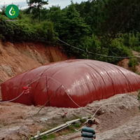 Digesteur de biogaz à ballon pour fumier de poulet agricole et usage domestique