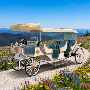 Carroza Eléctrica de Lujo Estilo Clásico Azul para Turismo, Vehículo sin Caballos para Paseos Turísticos, Gran Venta - Product Image 1