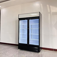 Réfrigérateur à boissons à double porte, congélateur à boissons, vitrine à boissons avec porte en verre