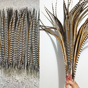Plumas de Cola de Faisán Reeves Naturales de 140-150 cm de Largo, en Oferta, para Disfraces de Carnaval y Sombreros de Samba - Product Image 5