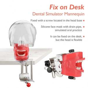 Preparación tipodónica de cavidad, modelo Dental estándar 28 <span class=keywords><strong>Remo</strong></span> - Product Image 6