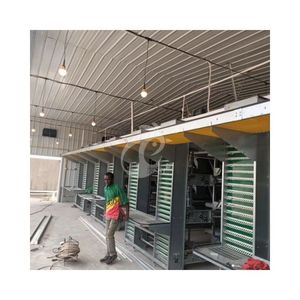 Jaula Automática para Pollos con Cinta Transportadora, Jaulas Galvanizadas para Gallinas Ponedoras - Product Image 6