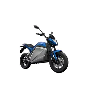 Electric Tricycles Fat Tire Cruiser Scooter Electric 2 wheel electric motorcycle EEC EU warehouse Long Range Fat Tire Chopper