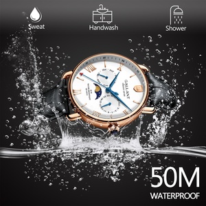 Orologio di Lusso da Uomo GALLANT di Alta Qualità Resistente all'Acqua 5ATM in Lega 20mm con Indicatore delle Fasi Lunari ODM - Product Image 4