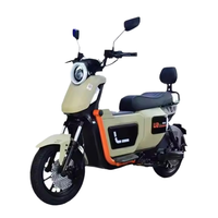 Nouveau Vélo Électrique Urbain 1500W Sportif avec Pneus Tubeless, Freins à Disque, Longue Autonomie, Tendance, Vente Chaude pour Adultes