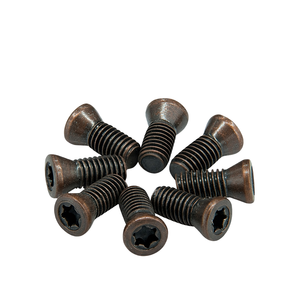 น็อตและสกรูมอเตอร์ไซค์แบบกำหนดเอง สกรูหัวจานอะลูมิเนียม วัสดุเหล็ก - Product Image 1