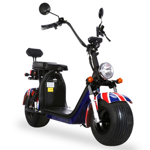 Motocicleta Eléctrica Cruiser 48V 501-1000W con Certificación EEC, Suspensión Delantera y Trasera para Desplazamientos Urbanos - Product Image 1