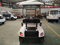 Voiture électrique miniature 4x4, roues optionnelles de 14 pouces, batterie au lithium, aluminium, voiturette de golf électrique 6 places