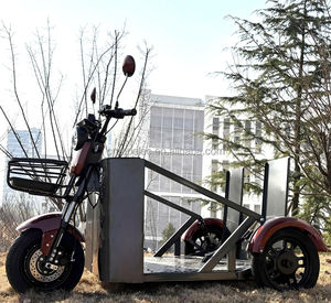 Triciclo Eléctrico de Movilidad Personalizado de Fábrica para Personas con Discapacidad, Diseño de 3 Ruedas con Potente Batería de Litio para un Viaje Seguro - Product Image 5