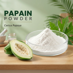 Food Grade Papain <b>Powder</b> Fruit Extract Carica Papaya Ingredient for Food Processing - Product Image 3