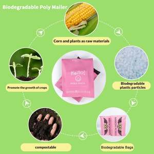 Hello Kitty Mika Color Selection Eco-friendly Mailer <b>Bag</b> Custom Shipping Poly Courier <b>Bag</b> <b>for</b> Clothes /Apparel - Product Image 5