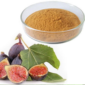Fig Ficus Carica Extrait de figue commune Poudre PE Ficin Ficus Proteinase Ficin From Figuier Latex Ficus Protease - Product Image 5