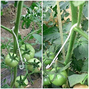 <strong>Tomato</strong> <strong>Support</strong> Clips <strong>Tomato</strong> Vegetable <strong>Support</strong> J-hook Clips to Prevent <strong>Tomatoes</strong> From Pinching or Falling off - Product Image 3