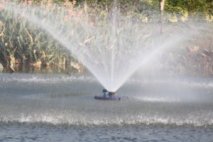 Đá Sân Vườn Sản Phẩm AO Nhỏ Các Tính Năng Nước Fontain Nước Nhảy Múa Hệ Thống Cho Trang Trí Sân Vườn - Product Image 6