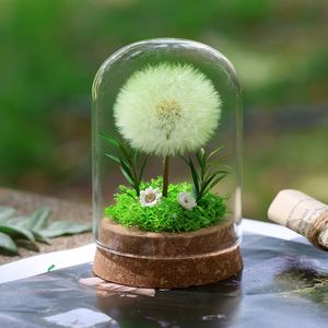 Bomboniere Artigianali per Matrimoni e Feste, Fiori di Tarassaco Conservati Sotto Cupola di Vetro, Decorazioni per Tavoli, Regali Floreali Preservati - Product Image 1