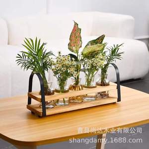 Wooden hydroponic container <b>shelf</b> with transparent glass test tubes and bottles, <b>desktop</b> hydroponic plant container, decorative - Product Image 3