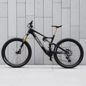 Amflow PL Carbon Pro 800Wh Vélo électrique tout-terrain en fibre de carbone pour la conduite hors route et sur sentier - Product Image 1