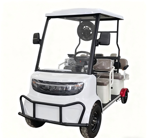 HKBG Nouveau Scooter Électrique à Quatre Roues avec Moteur Brushless et Batterie au Lithium, Vitesse 25km/h, Autonomie 60-80km, Capacité 150kg - Product Image 1