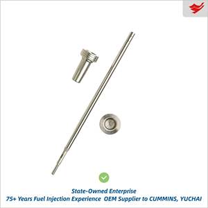 Inyector de Combustible Common Rail de Calidad Original para Empresas Estatales, Nuevo, F00V C01 <span class=keywords><strong>353</strong></span> 0445110072 FOOV C01 <span class=keywords><strong>353</strong></span> F00VC01353 - Product Image 3