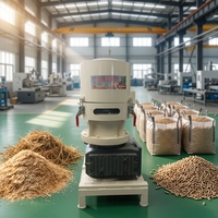 Traitement de la biomasse avec armoire de commande, machine à granulés de bois de qualité industrielle, ligne de production personnalisable