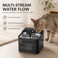 Fontaine à eau automatique pour chat OEM en acier inoxydable avec écran LCD, distributeur d'eau électrique USB silencieux