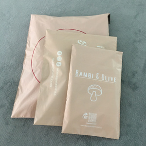 Bao Bì Trang Phục Chống Rách Túi Poly Nhựa In Logo Theo Yêu Cầu Túi Gửi Thư Bưu Phẩm Cho Vận Chuyển Quần Áo - Product Image 2