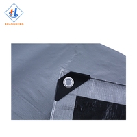 Pe Tarps Chine 120g M2 Pe Tarpaulin Tarpaulin pour événement Stripe Tarpaulin