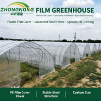 Serre tunnel commerciale en polyéthylène avec structure en acier galvanisé et film plastique pour la culture de tomates, légumes et fraises