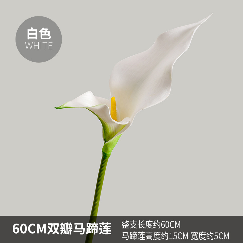 Blanc 60cm