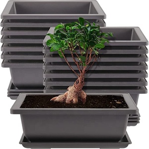 Vente en gros de fournitures de jardin, pots et jardinières en plastique, bonsaï d'entraînement - Product Image 1