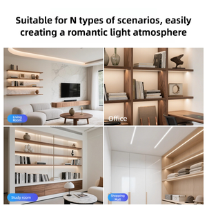 Светодиодная лента 2-в-1 с двойным цветом, 2835, регулируемая цветовая температура (CCT), белый/теплый белый (2700K, 3000K, 6500K, 7000K), гибкая светодиодная лента для помещений - Product Image 4