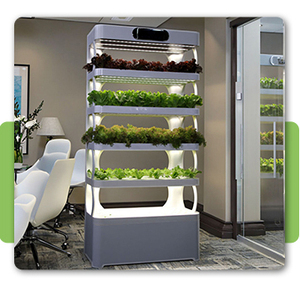 Năng lượng-hiệu quả hoàn chỉnh nhà thủy canh phát triển hệ thống mới dọc LED ánh sáng tự động tưới nước bơm thủy lợi để sử dụng nhà - Product Image 5