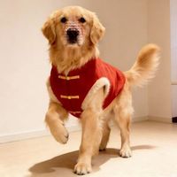 Veste pour animaux de compagnie de style Tang chinois pour chiens de petite, moyenne et grande taille, manteau d'hiver rembourré en coton rouge avec boutons dorés, costume de fête
