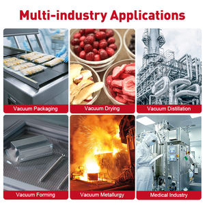 مضخة دوارة مشحمة بالزيت أحادية المرحلة من Wordfik PVX100 100 100-120 متر مكعب/ساعة تحمل بخار الماء لتدفق الهواء للتجفيف بالتفريغ - Product Image 5